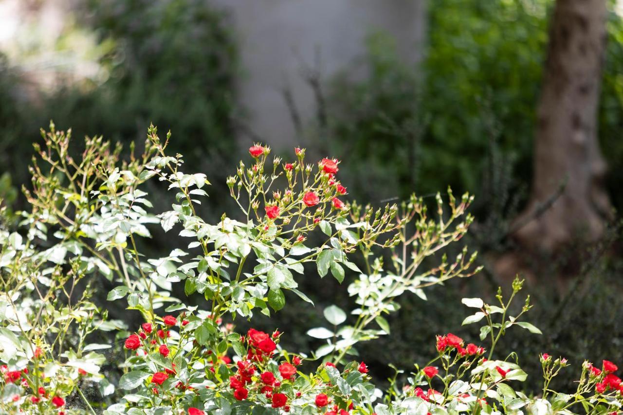 זאדאר Apartments Vallis Rabiosa מראה חיצוני תמונה